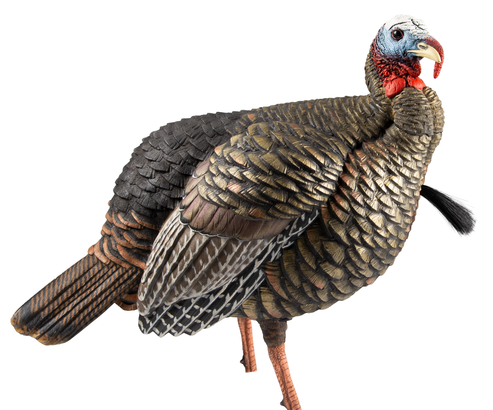 Avian X AVXAVX8105 HDR Jake Turkey Decoy Multi Color