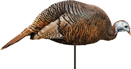 MONTANA DECOY TURKEY HEN DINNER BELLE