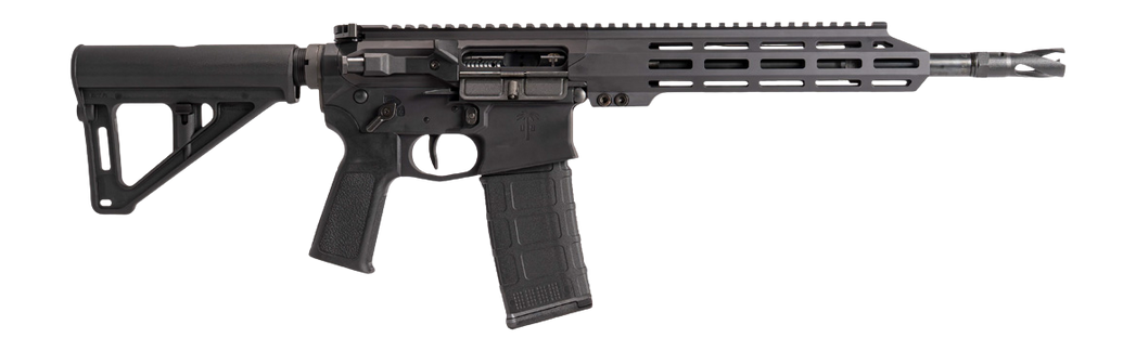 US Palm HG00010001AAN Cat4 Storm 5.56 NATO 30+1 11.50" Black Threaded Barrel, Matte Black Receiver w/Picatinny Rail, M-LOK Handguard, Adjustable Black Polymer Stock, Reduced Angle Grip, Ambidextrous