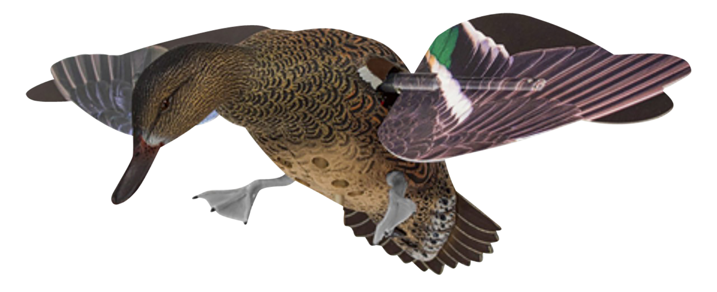 Avian X AVXPFLHT PowerFlight Hen Green-Winged Teal spinning wing decoy