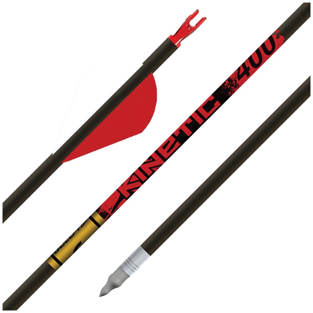 Gold Tip Kinetic 400 2in Raptor Vanes - 1/2dz