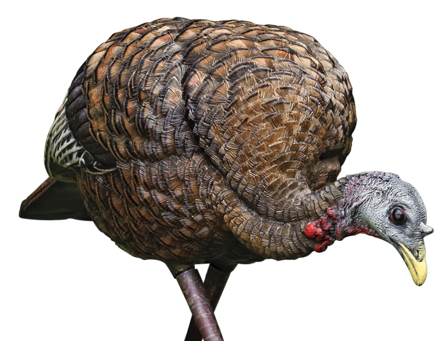 Avian X AVXAVX8007 LCD Feeder Hen Turkey Species Multi Color Dura-Rubber