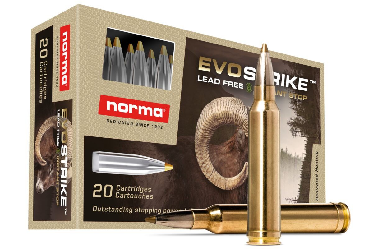 NORMA EVOSTRIKE 300WM 139G LEAD FREE 20RD BX