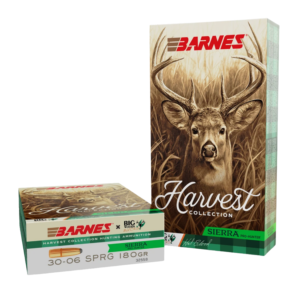 BRNS 32558 SIERRA PRO-HUNTER RN 3006 180GR 20/10