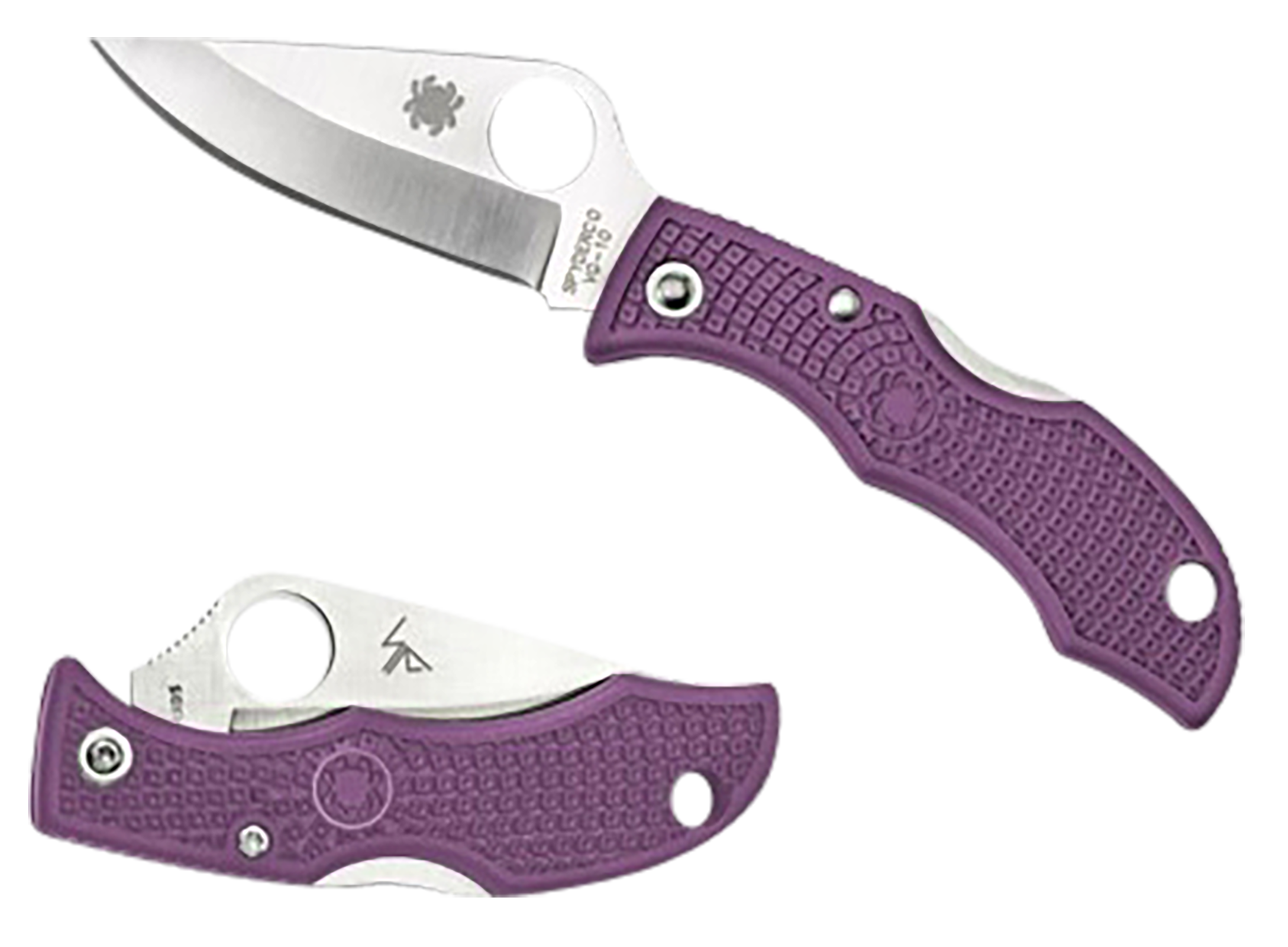 Spyderco LPRP3 Ladybug 3 Salt 1.94" Folding Plain Stonewashed H2 Steel Blade/Purple Bi-Directional Texturing FRN Handle