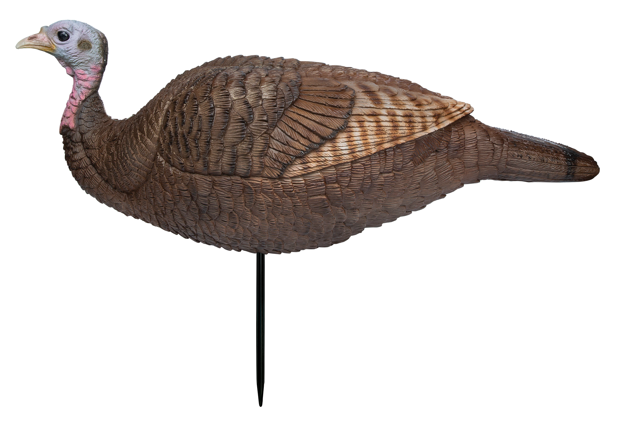 Primos 69073 Lil Gobstopper Hen Turkey Species Multi Color