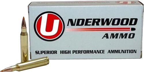 UNDERWOOD 458 HAMMMER 300GR BALLISTIC TIP 20RD 10BX/CS