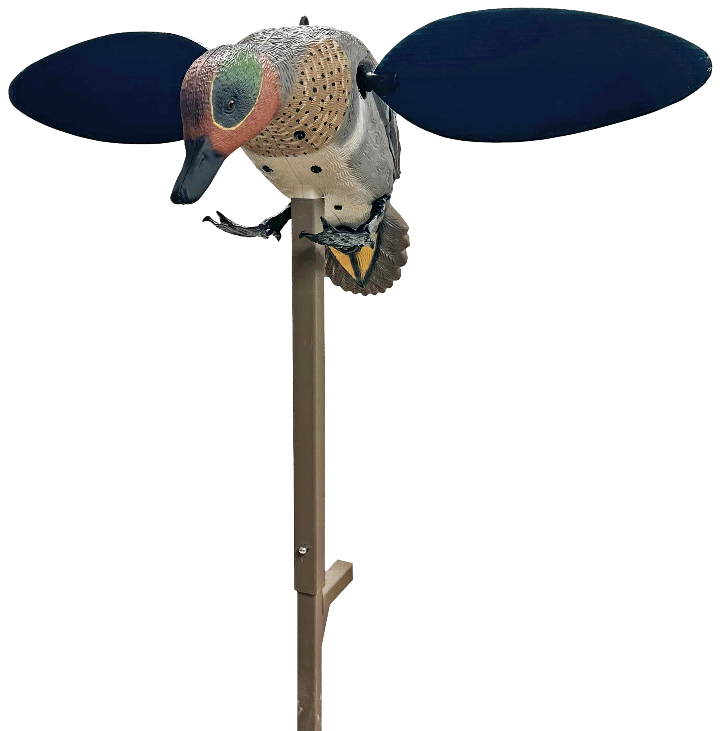 Mojo Outdoors HW2555  Green Winged Teal Teal Species