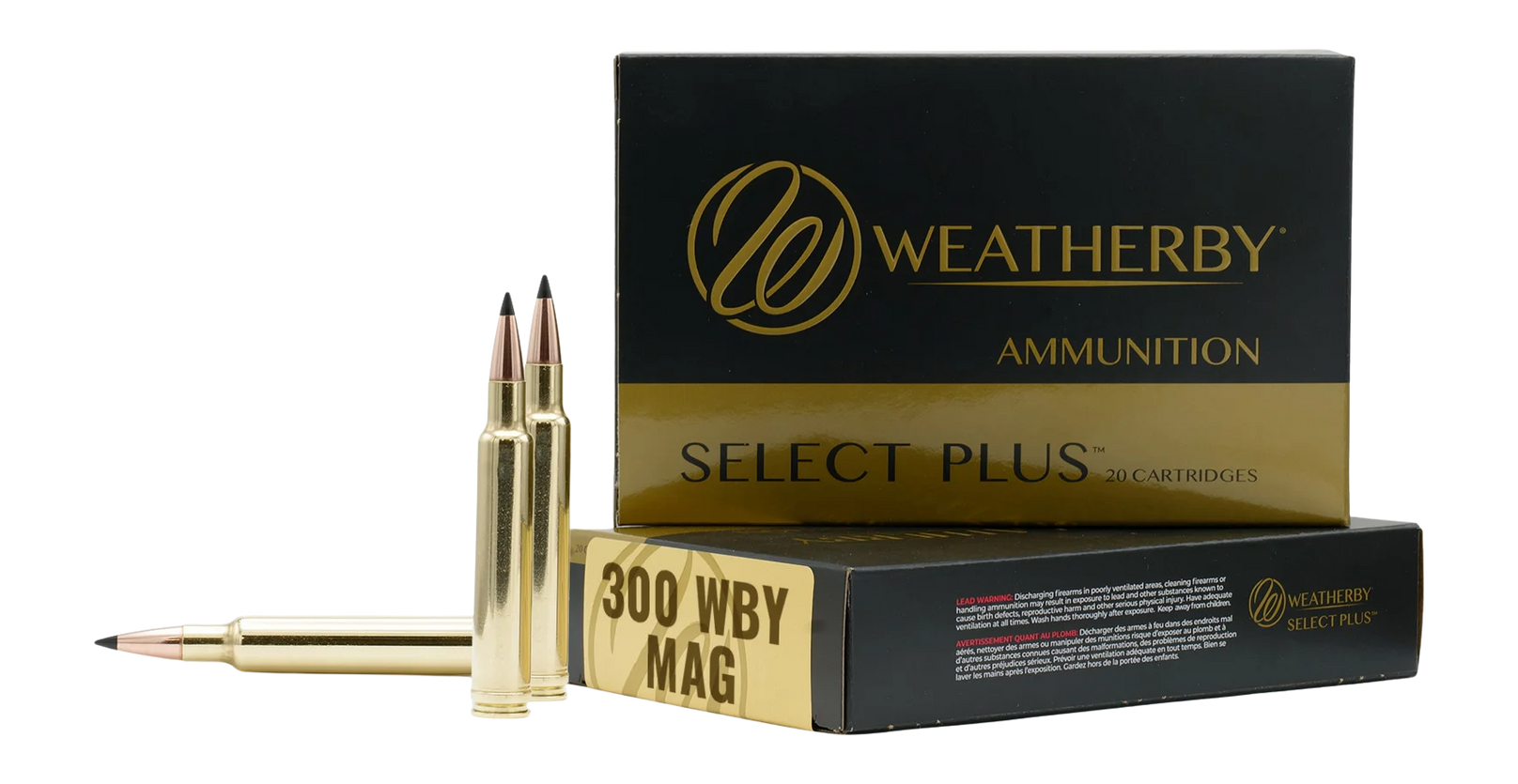 WTHBY M300170HCB   300 WBY 170GR HAMMER      20/10