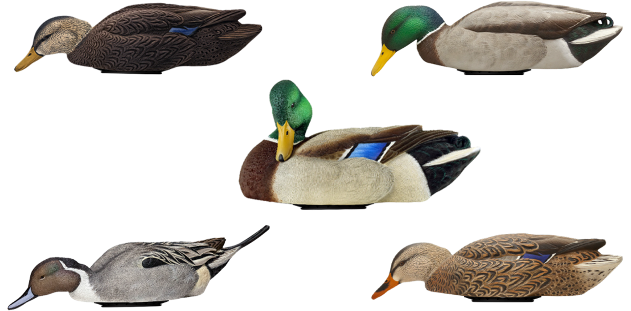 Avian X AVX-PSW-MDLH Power Swimmer Mallards Multi-Color