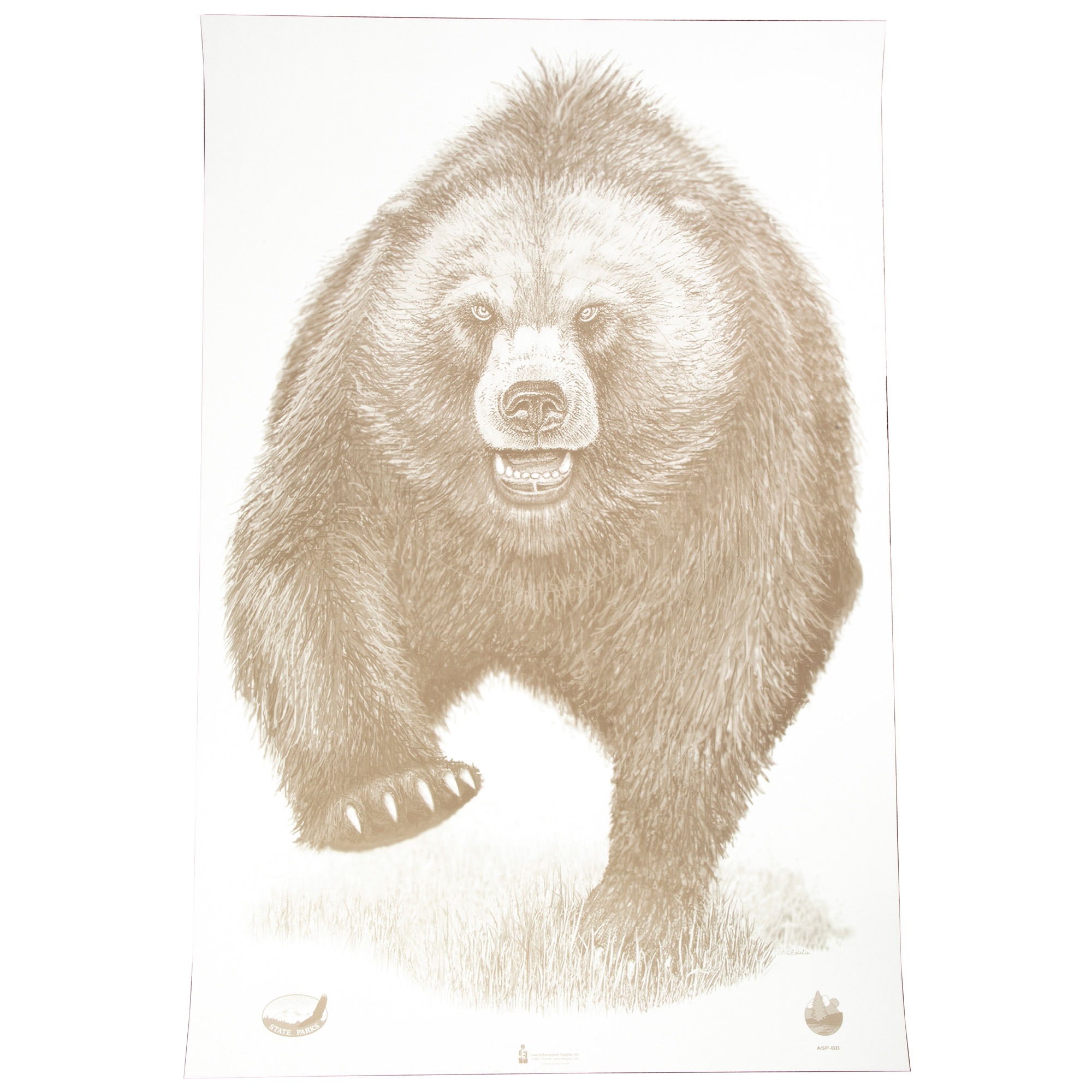 ACTION TGT AK STATE PARK BEAR 100PK