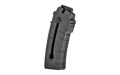 Rossi 358-0018-00 RS22W 10rd 22 WMR Black Polymer