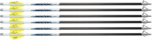 EXCALIBUR ARROW PROFLIGHT 18" 6PK (FITS MATRIX)